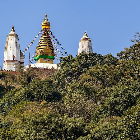 House Of Forrest, Service Apartments Katmandu Kültér fotó